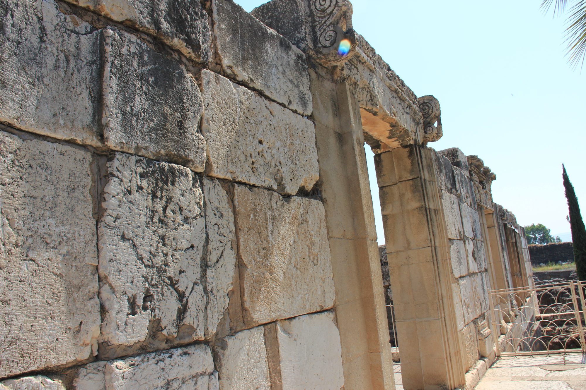 Capharnaum 26